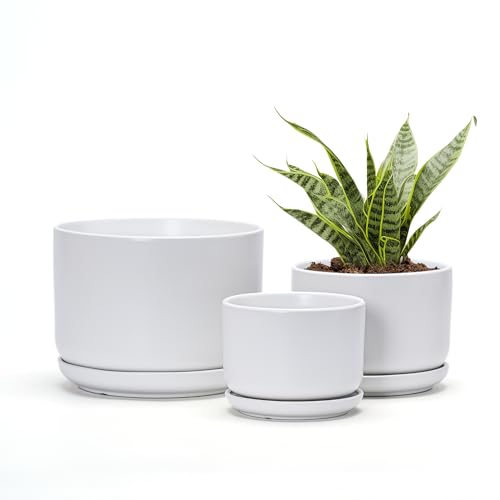 White Plant Pots,Ceramic Flower Pots Set of 3 with Drainage Holes(Matte) - color: Matte White