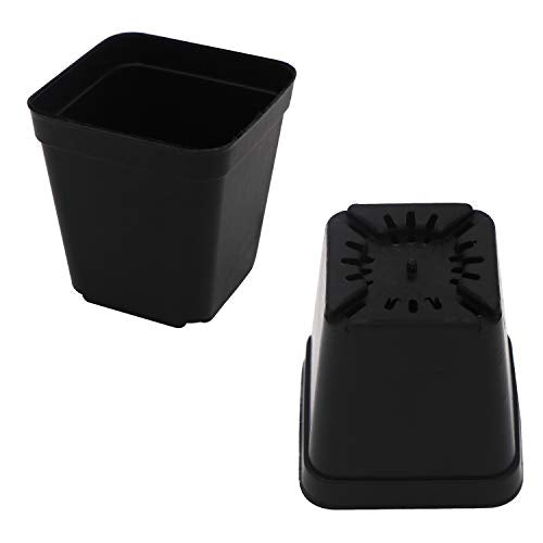 2.7 Inch Square Nursery Pots,50 Pack Sturdy & Reusable Plastic Plant Containers Starter Pot with Drainage Holes for Seedlings,Succulents & Garden Plants,Black - size: 2.7 Inch