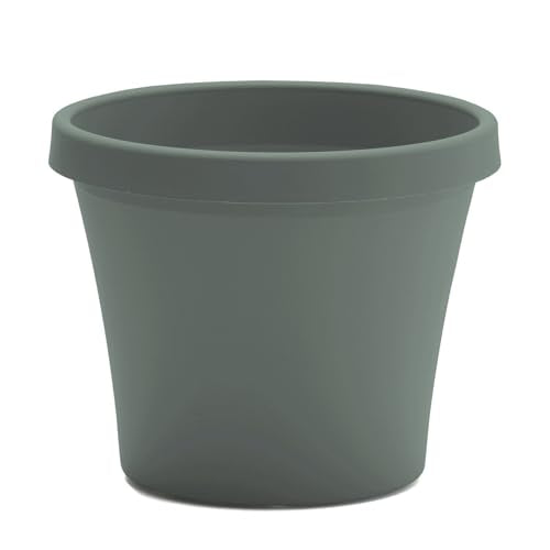 Bloem Terra 12" Plastic Planter, 3.5 Gallon, Basil, 6-Pack - color: Basil, size: 12" (Pack of 6)