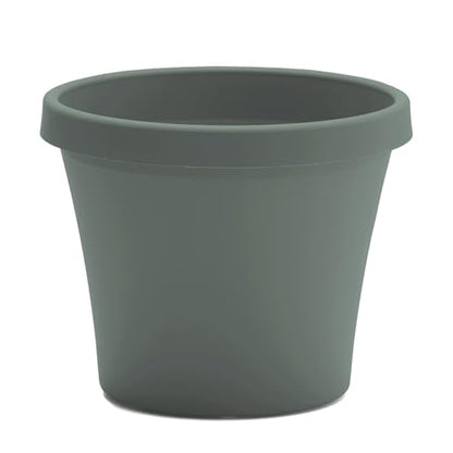 Bloem Terra 12" Plastic Planter, 3.5 Gallon, Basil, 6-Pack - color: Basil, size: 12" (Pack of 6)