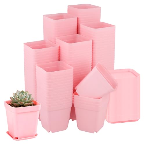 150 PCS 2.8 Inch Square Nursery Plant Pots, Plastic Plant Seedling Pots with Drainage Holes, Pink Plant Seedling Pots for Starting Seedlings or Garden Plant