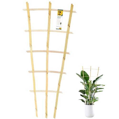 Jollybower 3PCS Fan-Shaped Bamboo Trellis, 2Ft Plant Trellis Indoor, Small Trellis for Potted Plants Indoor, Climbing Plants, Vegetables - size: Fan-Shaped 2Ft