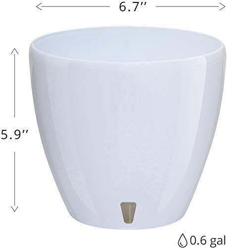 Gardenera 6.7" Deco Self Watering Pots for Indoor Plants in White - Decorative Flower Pot with Water Level Indicator and Drainage Cartridge for All House Plants, Flowers, Herbs and Succulents - color: White, size: 6.7 Inch