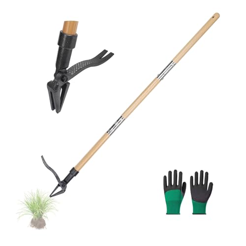 Weed Puller Tool Stand Up Weed Puller Tool with 3-Section Bamboo Handle & 4-Claw Steel Head Manual Weeder for Lawn and Garden (Bamboo)