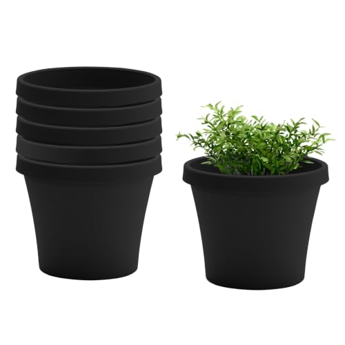 Bloem Terra 10" Plastic Planter, 2 Gallon, Black, 6-Pack - color: Black, size: 10" (Pack of 6)