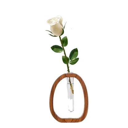 Test Tube Vase Hydrophilic Plants Vase, Plants Propagation Stations with Wooden Stand,for Hydroponic Plants Home Garden Decoration