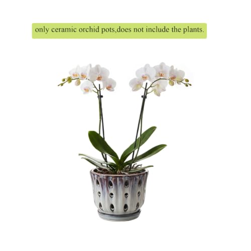 Ceramic Orchid Pot with Drainage Hole 6'' (Mauve Over Cream) - color: Mauve Over Cream