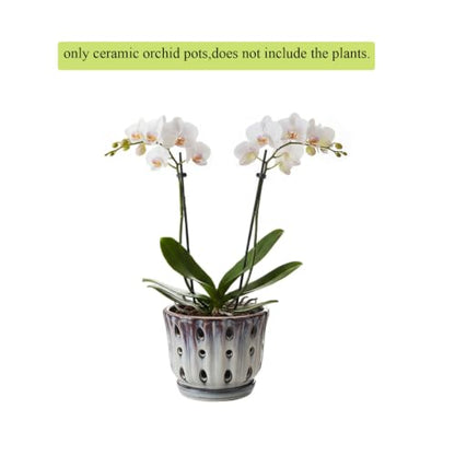 Ceramic Orchid Pot with Drainage Hole 6'' (Mauve Over Cream) - color: Mauve Over Cream