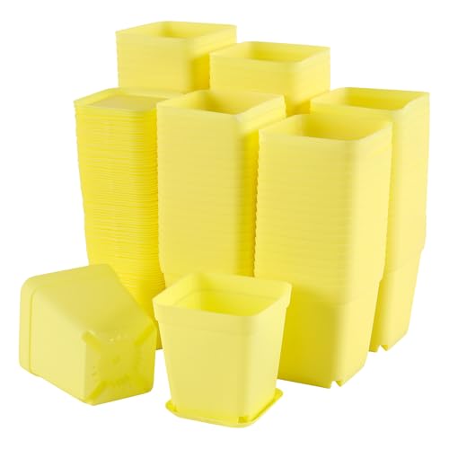 HOIGON 100 Pack 3 Inch Yellow Square Nursery Pot, Durable Thickened Plastic Nursery Pots with Drainage Holes and Saucers, Small Square Planting Containers for Flower Tomatoes Basil - color: Yellow