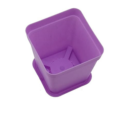 HOIGON 100 Pack 3 Inch Purple Square Nursery Pot, Durable Thickened Plastic Nursery Pots with Drain Holes, Small Square Planting Containers for Flower Tomatoes Basil - color: Purple