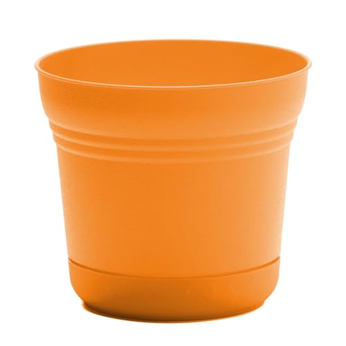 Bloem Saturn 5" Round Plastic Planter - Indoor/Outdoor, Snap-in Saucer & Drainage Holes, Mango - color: Mango, size: 5 Inches