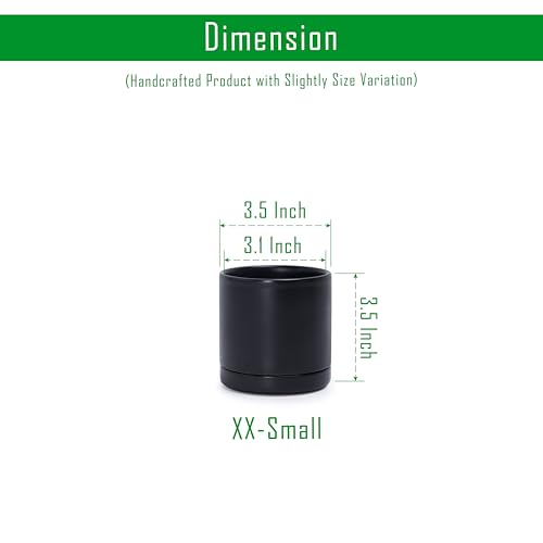 D'vine Dev 2-Pack Ceramic Pots with Saucers, Black, 3.5 in, 94-V-A-2 - color: Black, size: 3.5 Inch