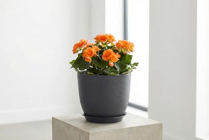 8 Inch Plant Pots Set of 4, Plastic Planters with Drainage Holes and Tray, Flower Pots for Indoor Outdoor Plants and Flowers (Black) - color: Black