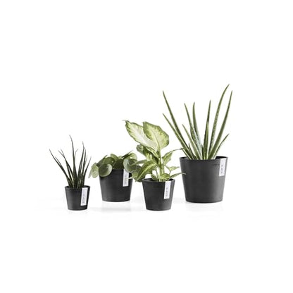 Ecopots Amsterdam Mini Round Flower Planter, Taupe, 3" - color: Taupe, size: 3 Inches