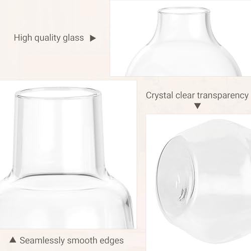 Mkono Propagation Vases 5 Glass Jars Station for Hydroponic Plants, Clear - color: Clear