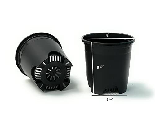 Cotta Planters 2 Gallon Black Nursery Pot Plastic 6-Pack Planter Pots Pot Liners for Outdoor Indoor Plants Gardening Flower Pots with Drainage Holes - color: Black, size: 6-Pack 2 Gal