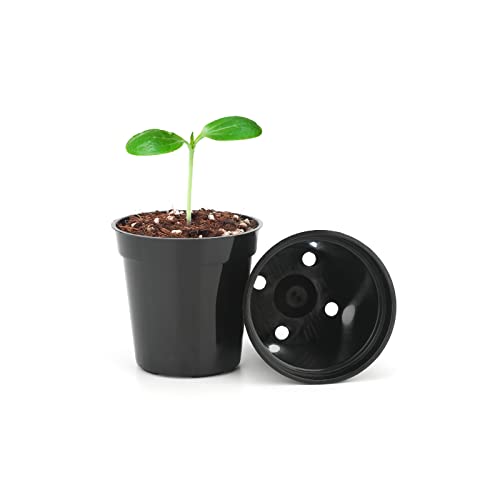 KINGLAKE GARDEN Small Black Plastic Pots,50 Packs 2 Inch Small Plant Pots - color: Black