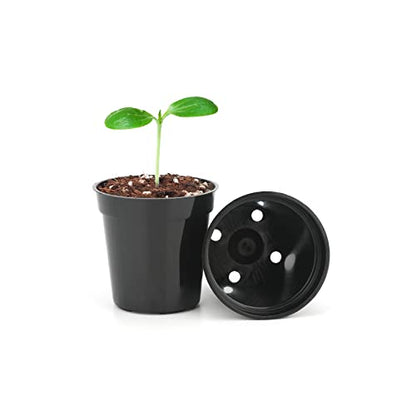 KINGLAKE GARDEN Small Black Plastic Pots,50 Packs 2 Inch Small Plant Pots - color: Black