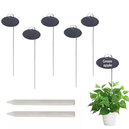 Slate Plant Labels Garden Markers Signs Labels with Stainless Steel Stake & Marker Pen Waterproof Slate Plant Labels for Flowers, Herbs, Potted Plants, Seed (Oval, 5PCS) - size: 5PCS, style: Oval