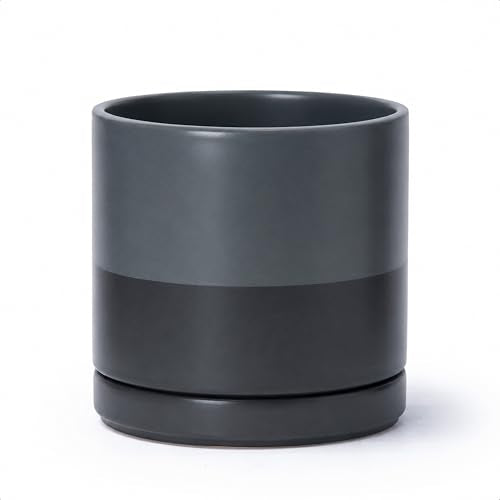D'vine Dev 8 Inch Ceramic Planter Pot, Slate, 94-O-D-5 - color: Slate, size: Medium