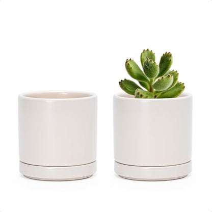 D'vine Dev 2-Pack Ceramic Pots with Saucers, Oatmeal, 3.5 in, 94-V-A-8 - color: Oatmeal, size: 3.5 Inch