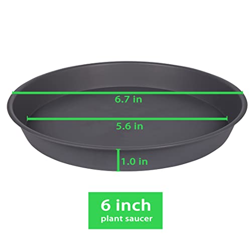 6 Pack Planter Saucer Tray Gray, 4 6 8 10 12 13 15 17 19 inch Pot Saucers, Heavy Duty Plastic Plant Saucers for Indoors, Plant Drip Tray, Plant Trays for pots Planter (6 inch, Cement) - color: Cement, size: 6"