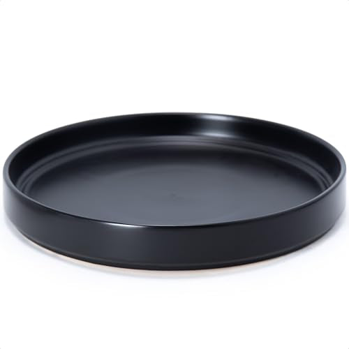 D'vine Dev Ceramic Plant Saucer/Drainage Tray, 11.8 in, Black, 97-T-B-6 - color: Black, size: 11.8" (1 Pack)