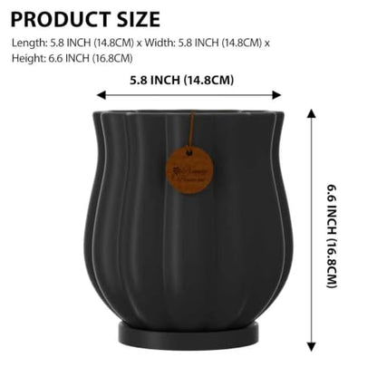 5.8" Matte Black Ceramic Plant Pot with Saucer - color: Matte Black, size: Medium