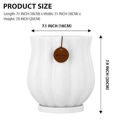 7.1" Matte White Ceramic Plant Pot with Saucer - color: Matte White, size: Large