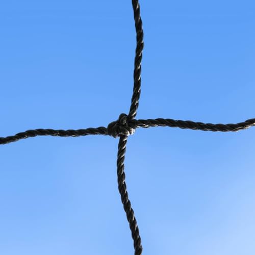 Baseball Backstop Nets | Professional Grade Sports Netting Available in 82 Sizes - 100% Weatherproof with Overlocked Edges - size: 10' x 24'