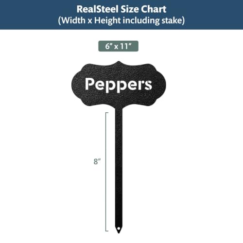 RealSteel Metal Seed & Plant Markers – Elegant Indoor & Outdoor Garden Stakes – Durable Herb, Vegetable & Fruit Plant Labels for Pots, Raised Beds & Greenhouse – Farmhouse Garden Gift - Asparagus