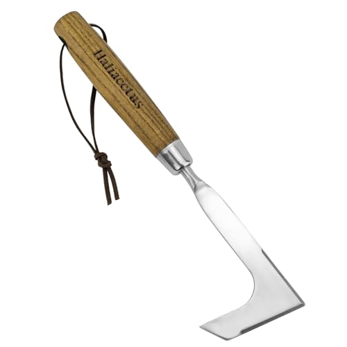 Haliaeetus Crack Weeder Tool, L Shaped Stainless Steel Crevice Weeding Tool - size: 11'' Crack Weeder Tool
