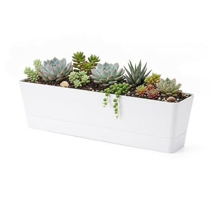 GREANER 16x3.8 Inch Window Boxes Planters, 1PCS Plastic Rectangle Potwith Tray, Lightweight Indoor Succulent Cactus Flowers Vegetable Herb Planters for Balcony, Office, Garden, Outdoor, Windowsill - size: 1Pack/16x3.8in