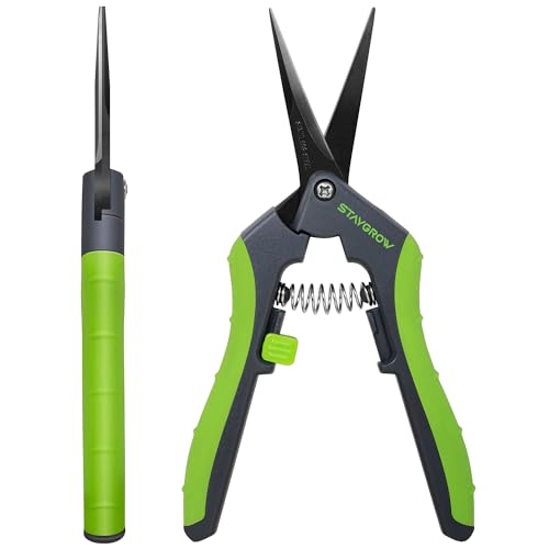 6.5" Gardening Scissors, Ultra Sharp Plant Trimming Scissors - size: 6.5 Inch Straight*2