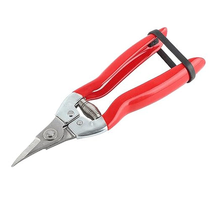 Professional Garden Pruning Shears for Roses and Flowers, Curved Blade Stainless Steel Hand Pruners, Heavy Duty Plant Trimming Scissors for Fruit Harvesting and Flower Arranging