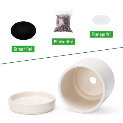 D'vine Dev 2-Pack Ceramic Pots with Saucers, Oatmeal, 4.7 in, 94-V-B-8 - color: Oatmeal, size: 4.7 Inch