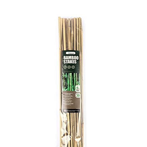 Cambaverd Bamboo Stakes 6 Feet, Tall Garden Stakes, 20 Pack Bamboo Poles - size: 6 FT-20 PACK