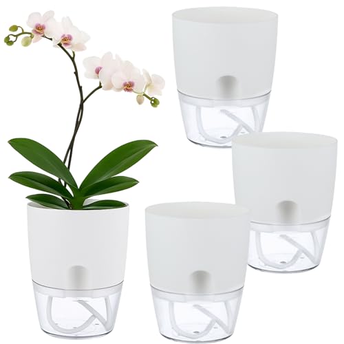 Planterhoma 3 Pack Self Watering Pots for Indoor Plants, 6 Inch Plant Pot Plastic Self Watering Planter for Orchid, African Violet, Small Clear Flower Pots with Drainage Holes and Wicking Rope, White - color: White, size: 3 Pack (6 In)