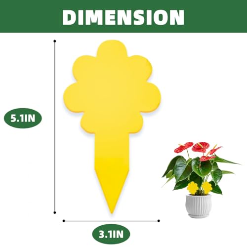 Sticky Yellow Fungus Gnat Traps, Easier to Use, No Touching Glue Or Bugs, Targets Species for Gnat, Fruit Fly & Pests, Thoughtfully Designed, High Capture Rate, Kid & Pet Safe, 36 Traps - size: 36