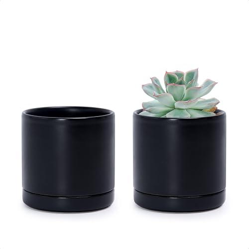 D'vine Dev 2-Pack Ceramic Pots with Saucers, Black, 3.5 in, 94-V-A-2 - color: Black, size: 3.5 Inch