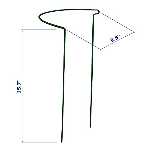 12 Pack 15.8 Inch High Plant Stake,Garden Plant Support,Half-Round Peony Cage Plant Ring Hoop - size: 9.5x15.8Inch-12Pack