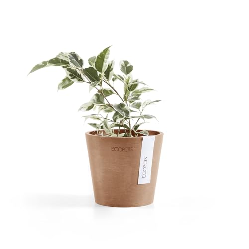 Ecopots Amsterdam Mini Round Flower Planter, Terracotta Color, 4" - color: Terracotta, size: 4 Inches
