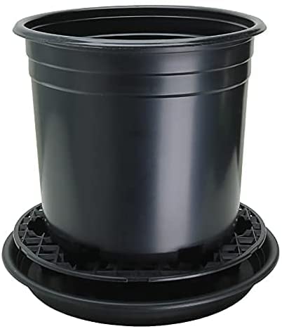 Grow1 21.5-Inch Pot Elevators for Plants (1-Piece) - size: 21.5", style: 1 Pack