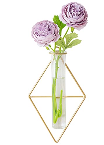 IvyMei Luxurious Nordic Gold Wall Vase Metal Frame Glass Tube - color: Gold 4