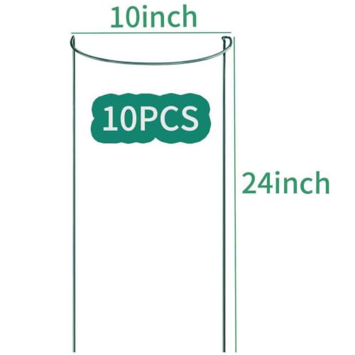TCBWFY 10 Pack Garden Supports for Plants Metal 10" Wide x 24" High Interlock Half Round Garden Plant Support Ring Border Support Plant Support Ring Cage for Rose Flowers Vine Tomato - size: 10"Dx24"H-10PCS
