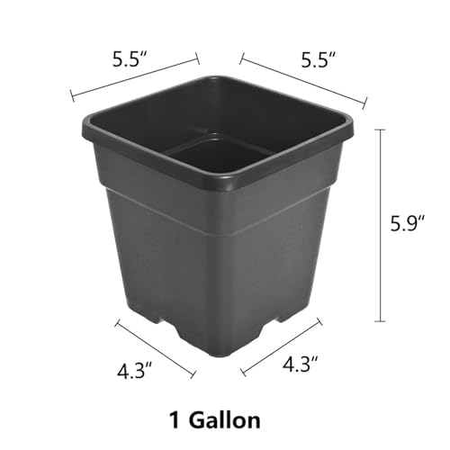 10 Pcs 1 Gallon Black Square Nursery Pots with Drainage Holes and Plant Flexible Seedling Pots Seed Starting Planter for Indoor Outdoor Flowers