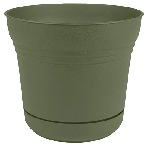 Bloem SP0742 Saturn Planter w/Saucer 7" Living Green, 7" - color: Living Green, size: 7"