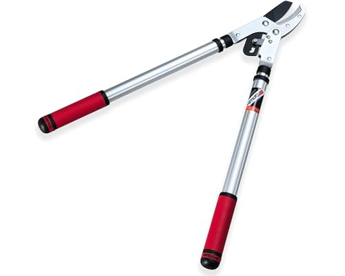 Kimura® Pro Heavy Duty Garden Loppers - 25-37", Premium Anvil Lopper with Advanced Ratchet Mechanism, Lightweight Telescopic Handles, Japanese SK5 Steel Blades, Extendable Garden Loppers - size: 25"-37" Ratchet