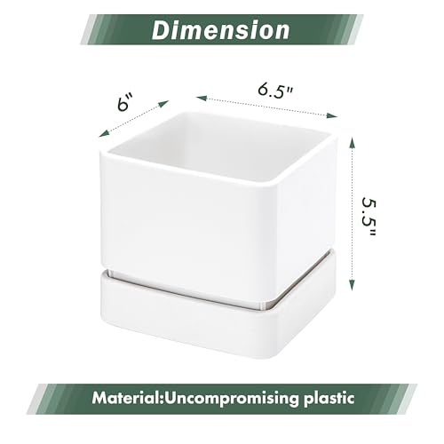 D'vine Dev 2-Pack Plastic Herb Planter Pots, 6 in, White, 76-Y-A2-2 - color: White, size: 12 Inch x 6.5 Inch