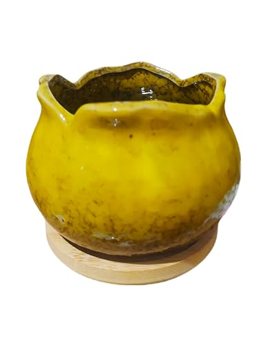 Cute 4" Round Ceramic Home Garden Decoration Succulent Cactus Flower Pots Container -Plant Not Included，Yellow - color: Yellow